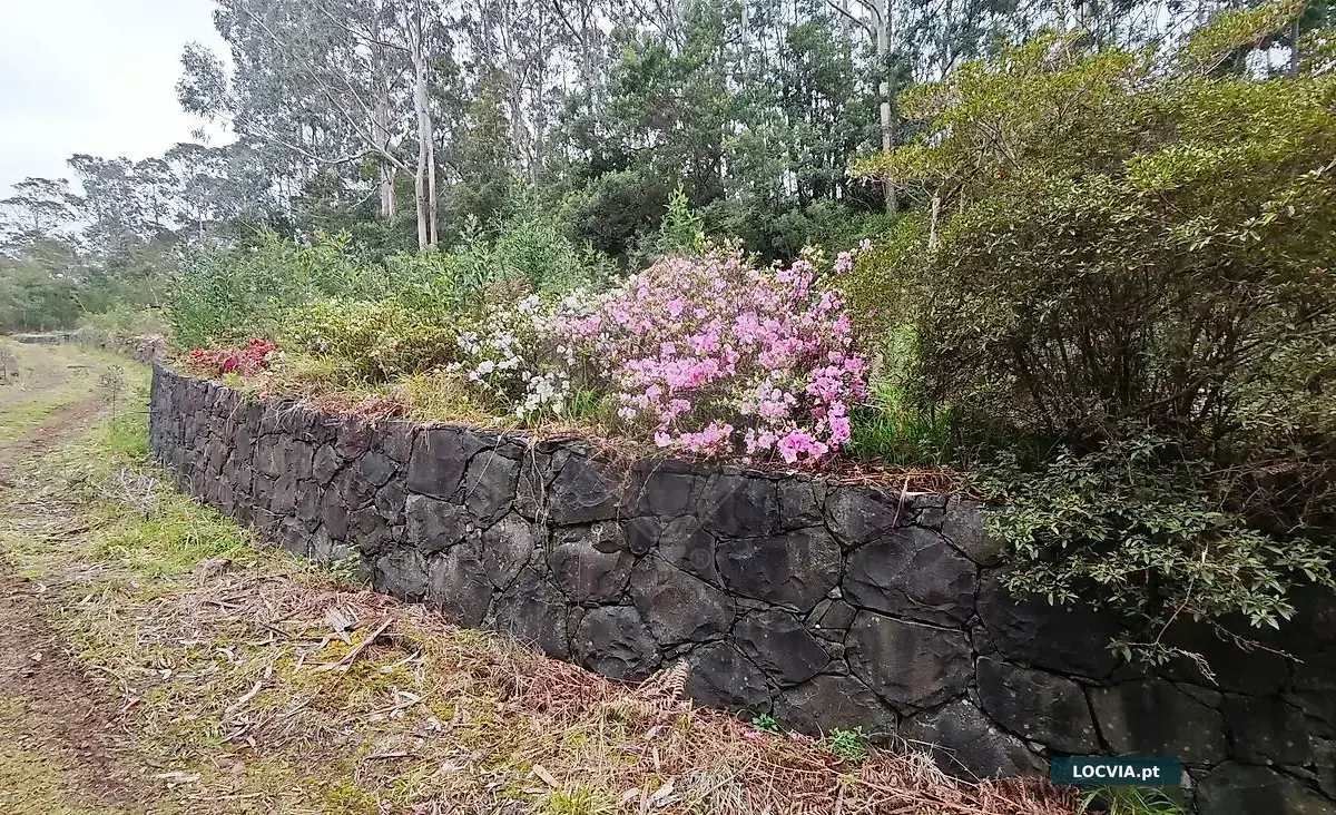 Terreno à venda em Santana