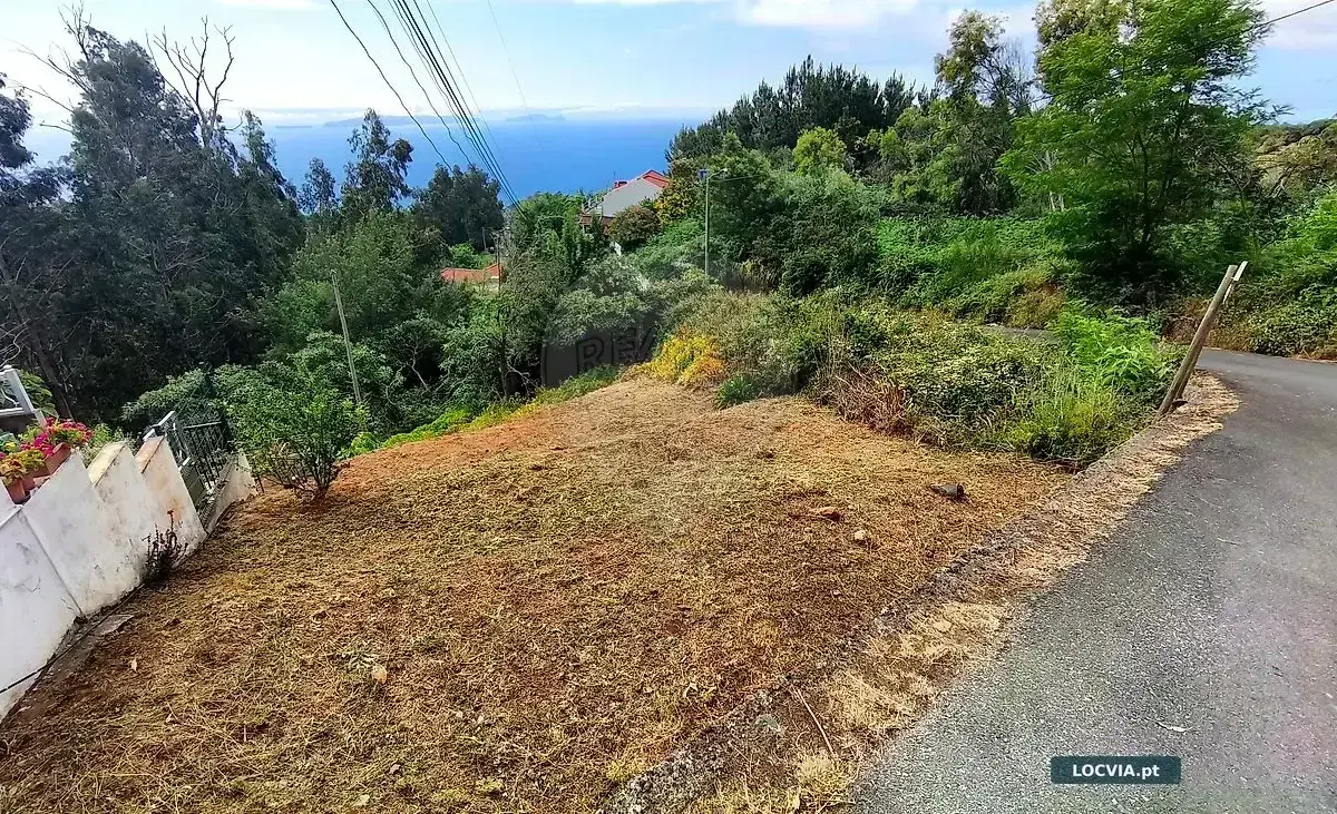 Terreno - Camacha, Santa Cruz