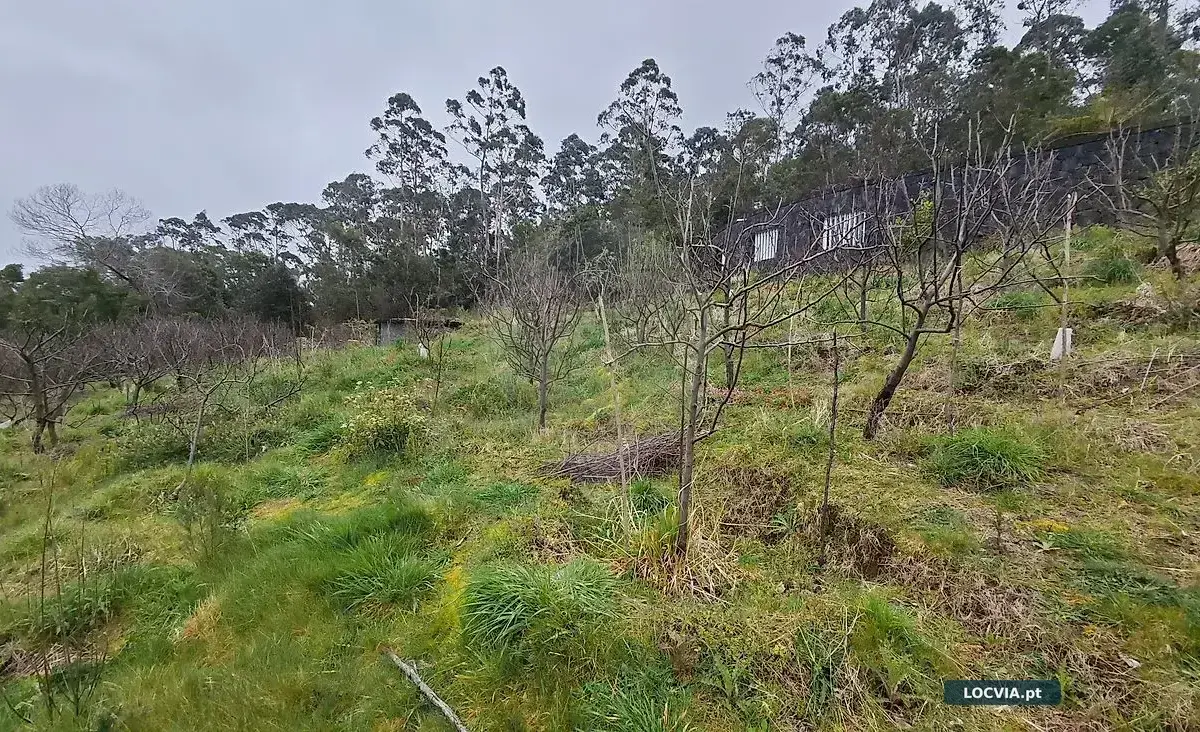 Terreno à venda em Santana