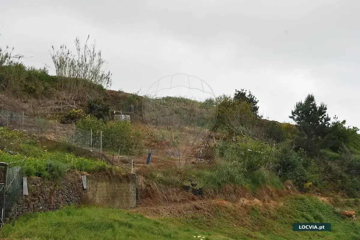 Terreno à venda em Canhas, Ponta do Sol