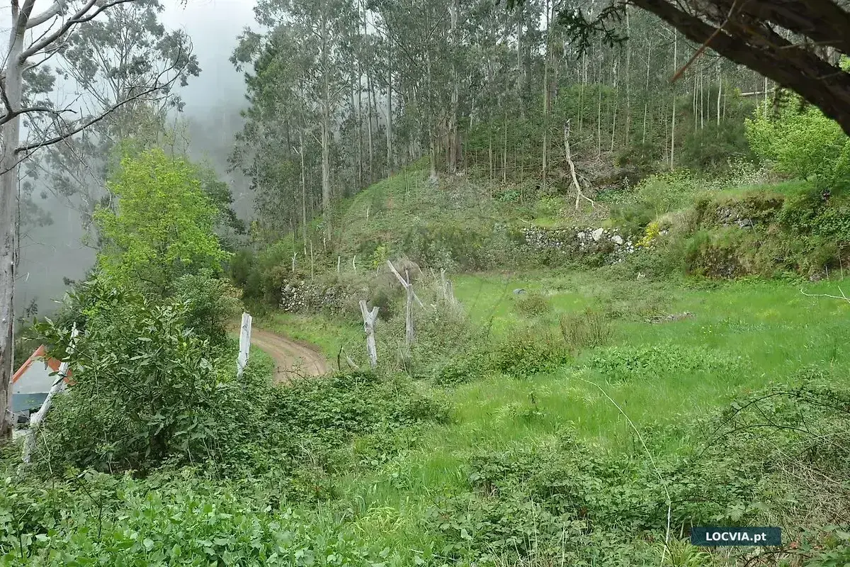 Terreno à venda em Canhas, Ponta do Sol