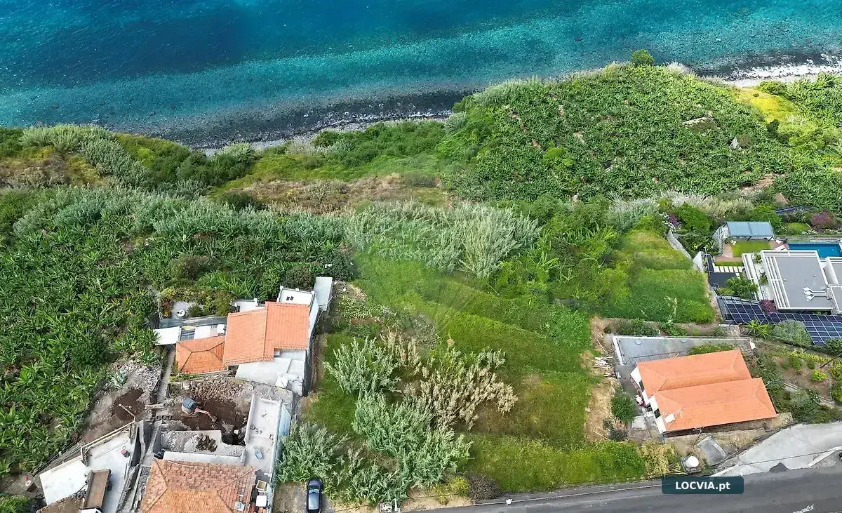 Terreno - Faja Arco da Calheta, Calheta (Madeira)