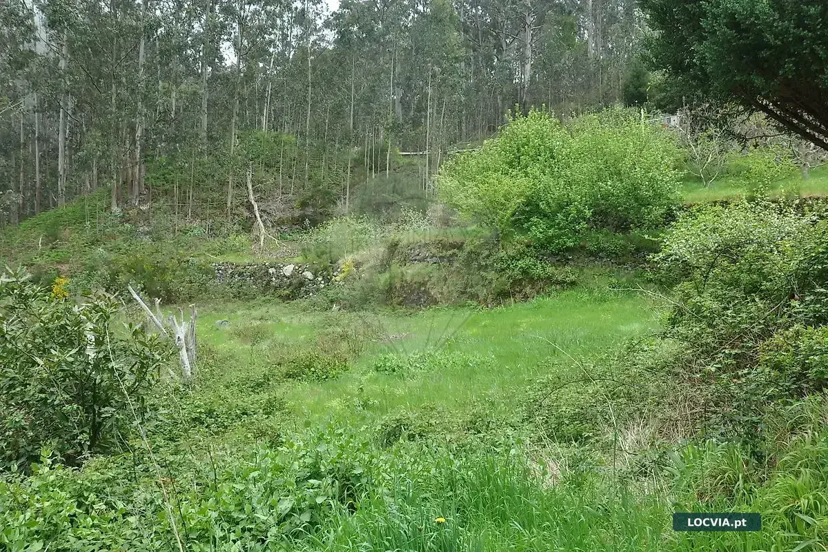 Terreno à venda em Canhas, Ponta do Sol