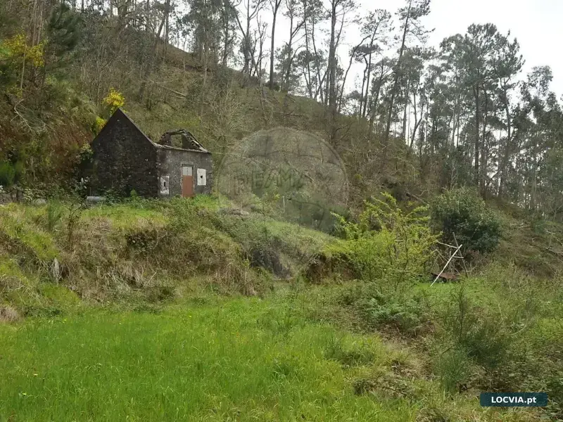 Terreno à venda em Canhas, Ponta do Sol