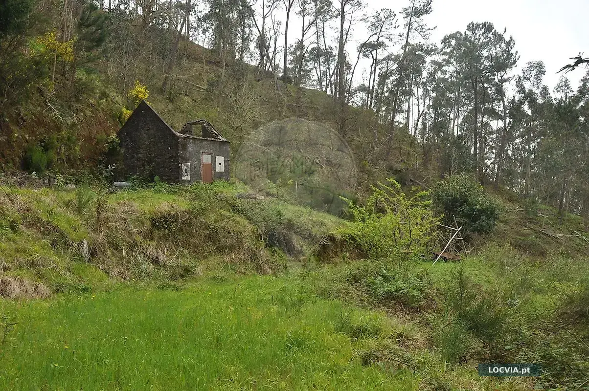 Terreno à venda em Canhas, Ponta do Sol