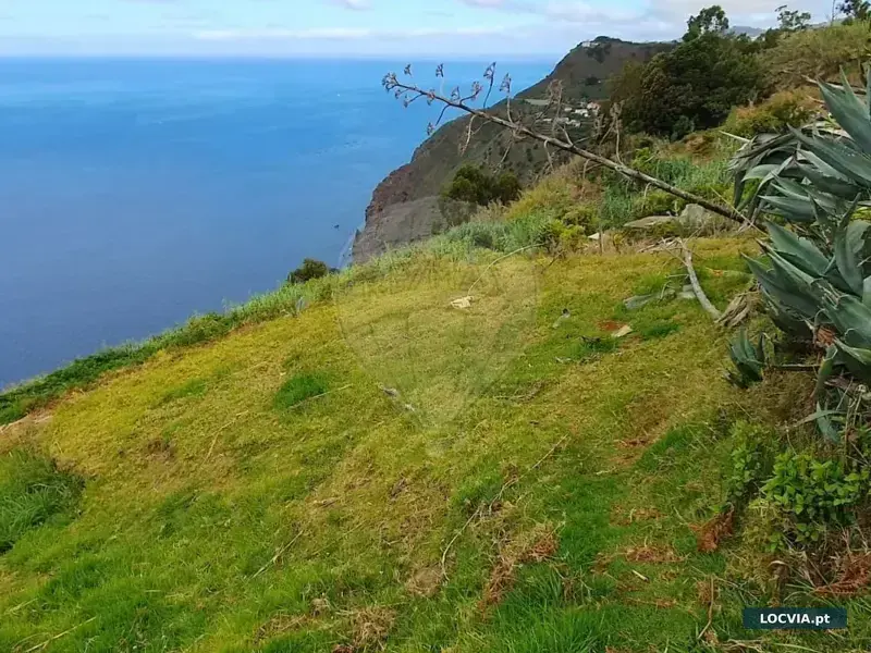 Terreno - Canhas, Ponta do Sol