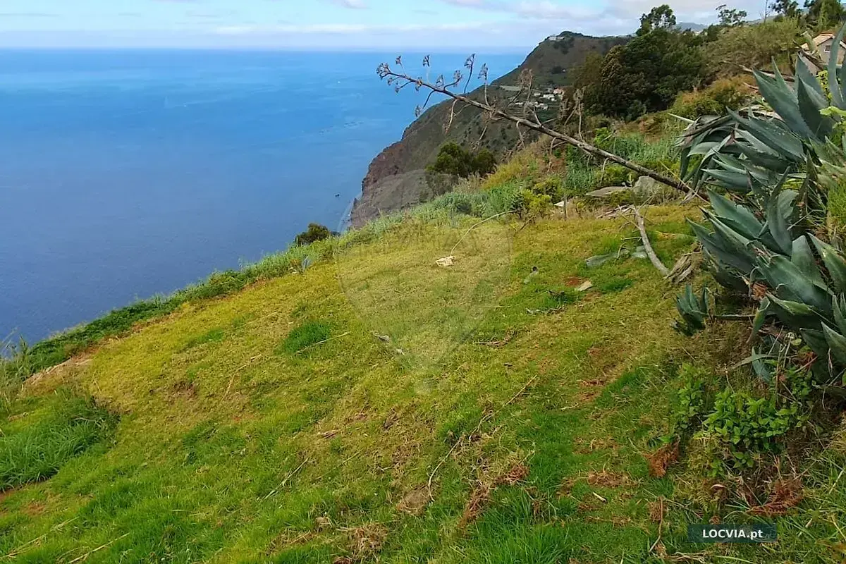 Terreno – Canhas, Ponta do Sol
