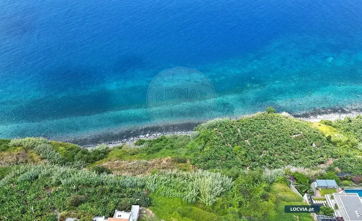 Terreno - Faja Arco da Calheta, Calheta (Madeira)