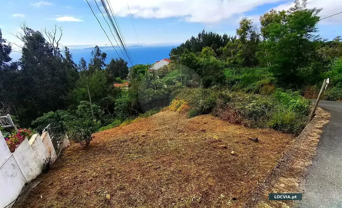 Terreno - Camacha, Santa Cruz