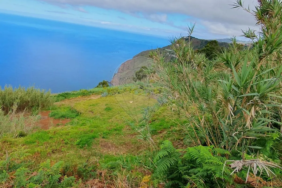 Terreno - Canhas, Ponta do Sol