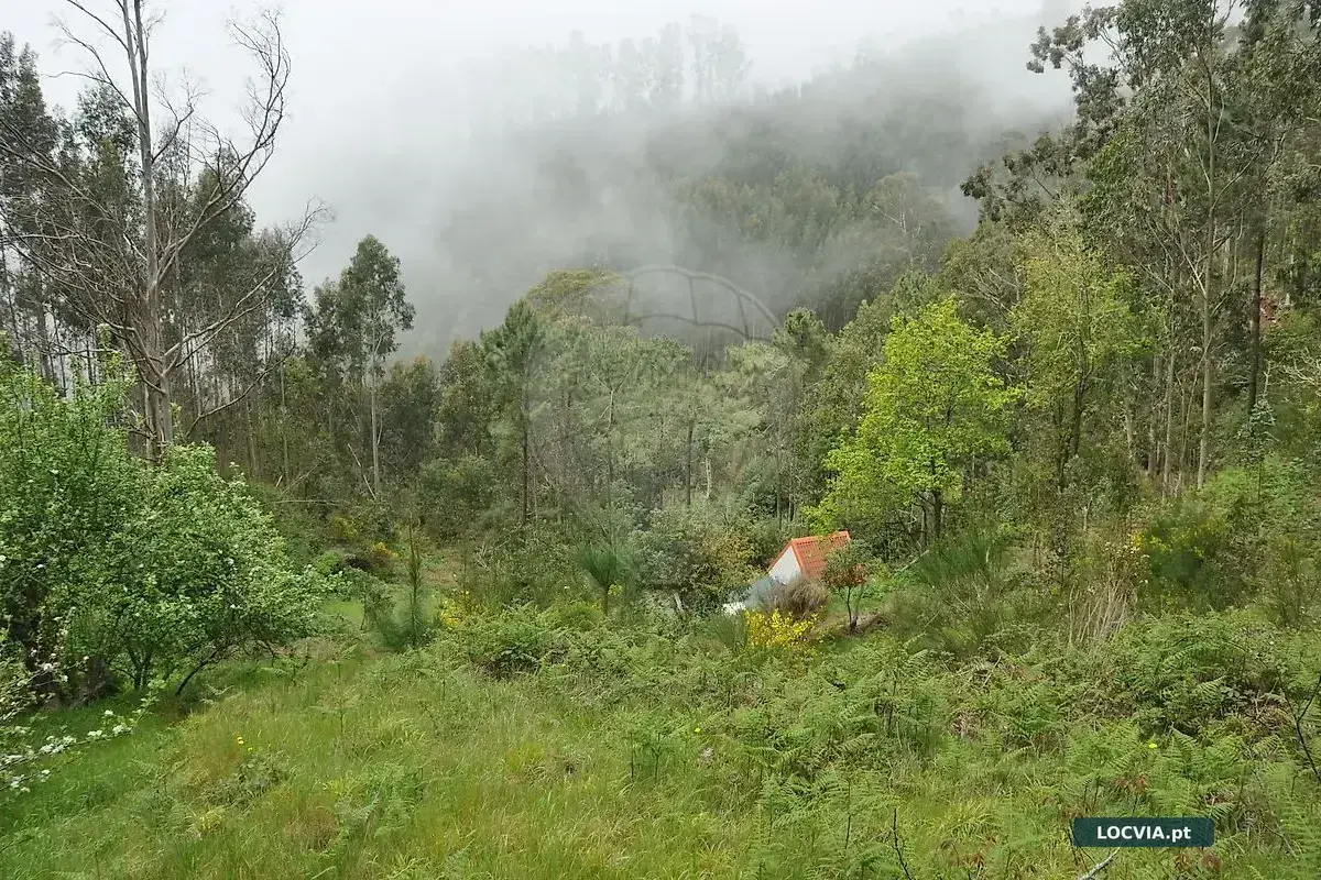 Terreno à venda em Canhas, Ponta do Sol