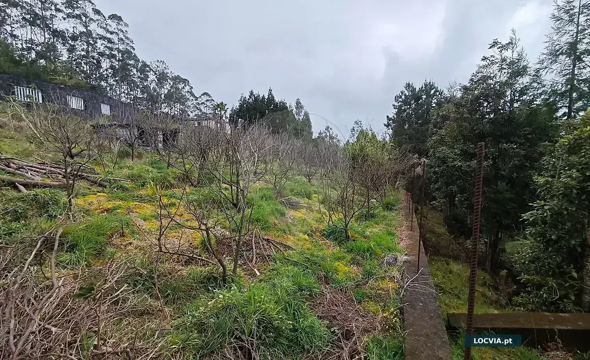 Terreno à venda em Santana