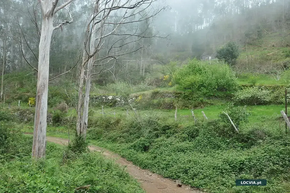 Terreno à venda em Canhas, Ponta do Sol