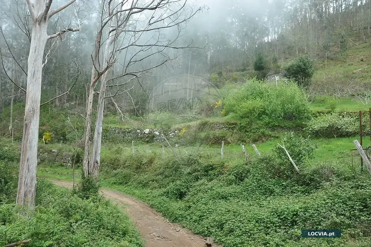 Terreno à venda em Canhas, Ponta do Sol