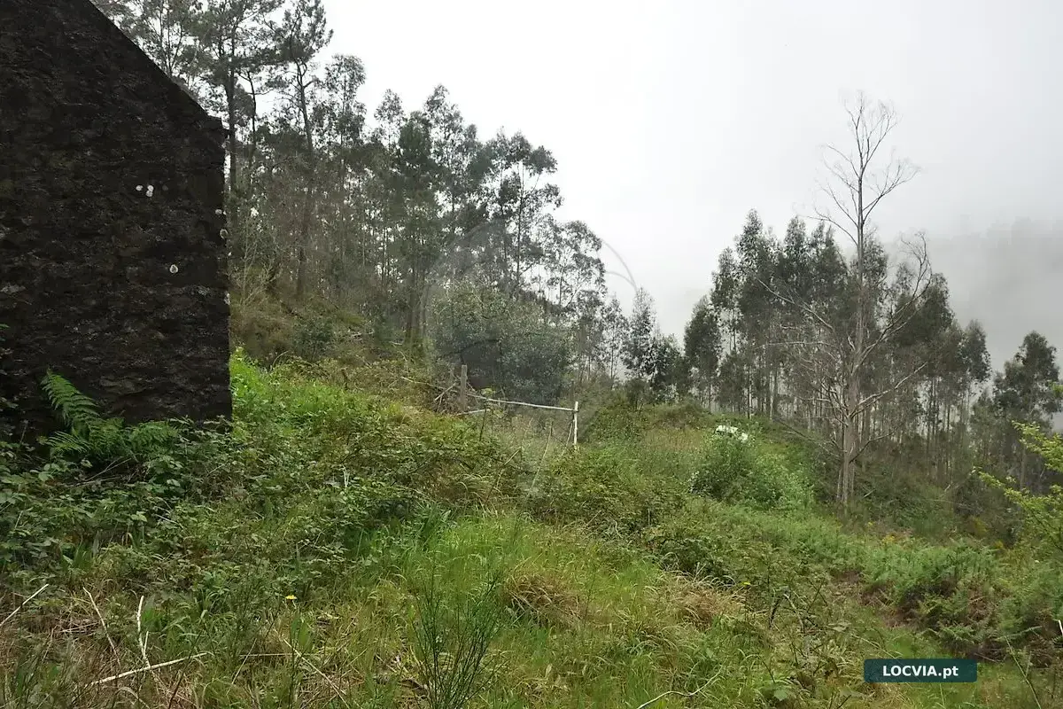 Terreno à venda em Canhas, Ponta do Sol