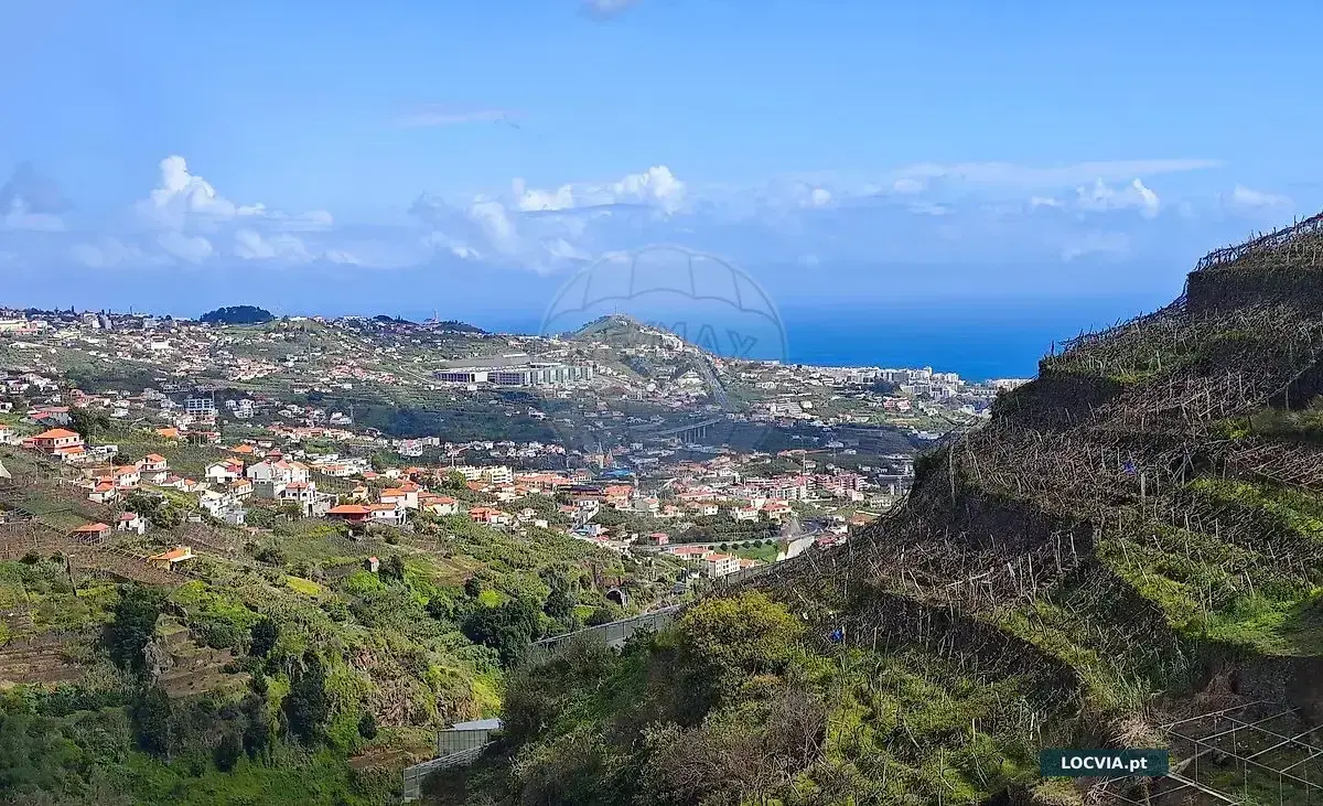 Terreno à venda em Câmara de Lobos