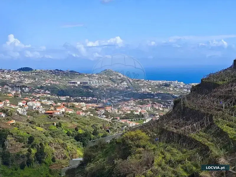 Terreno à venda em Câmara de Lobos