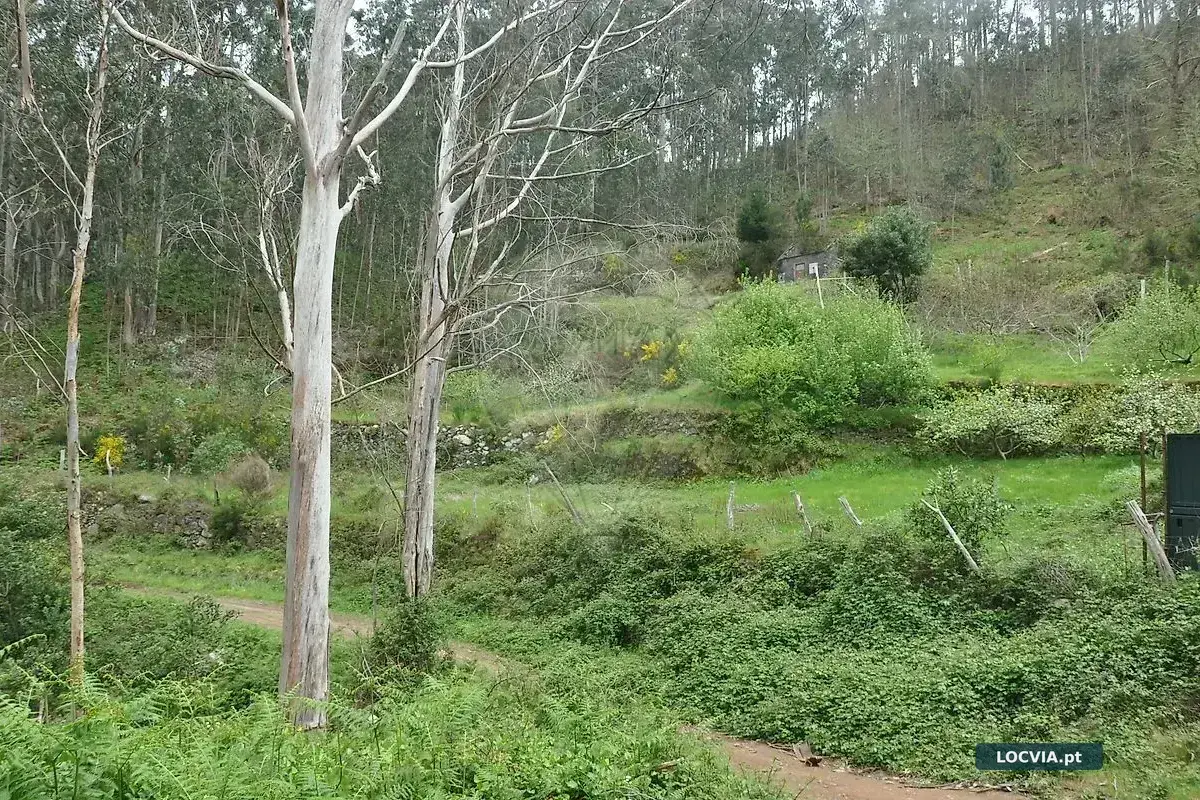 Terreno à venda em Canhas, Ponta do Sol