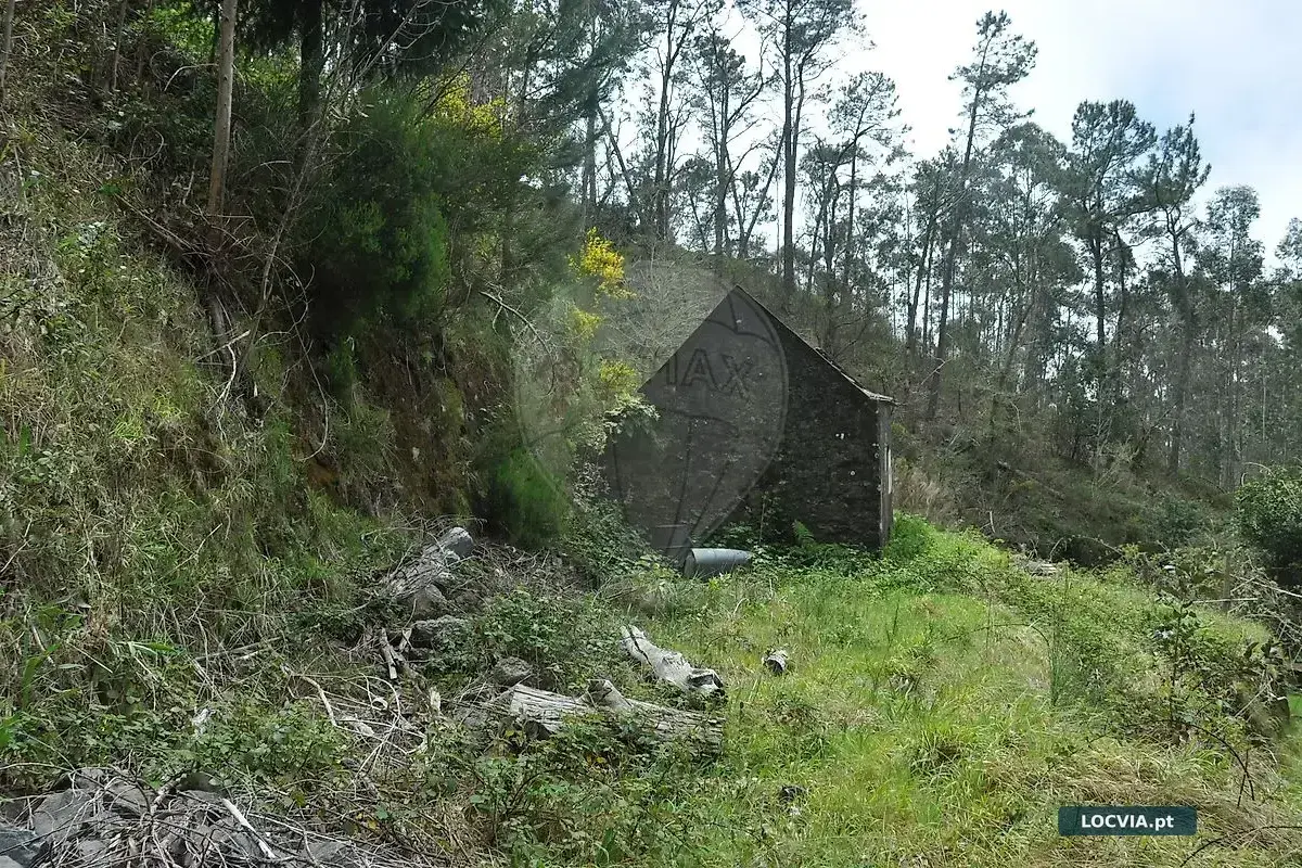 Terreno à venda em Canhas, Ponta do Sol