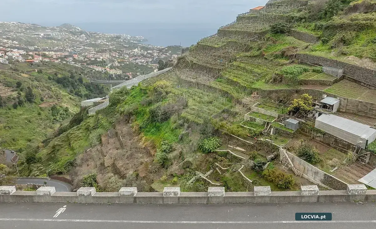 Terreno à venda em Câmara de Lobos