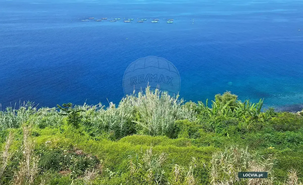 Terreno - Faja Arco da Calheta, Calheta (Madeira)