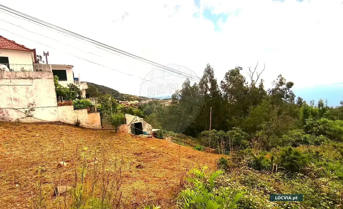 Terreno - Camacha, Santa Cruz