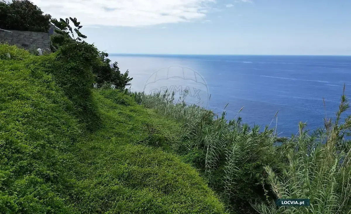 Terreno - Faja Arco da Calheta, Calheta (Madeira)