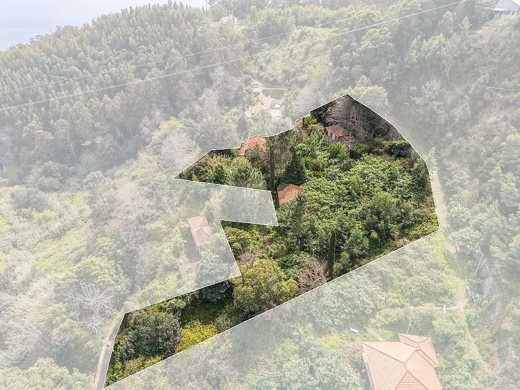 Moradia T6 à venda em Camacha, Santa Cruz
