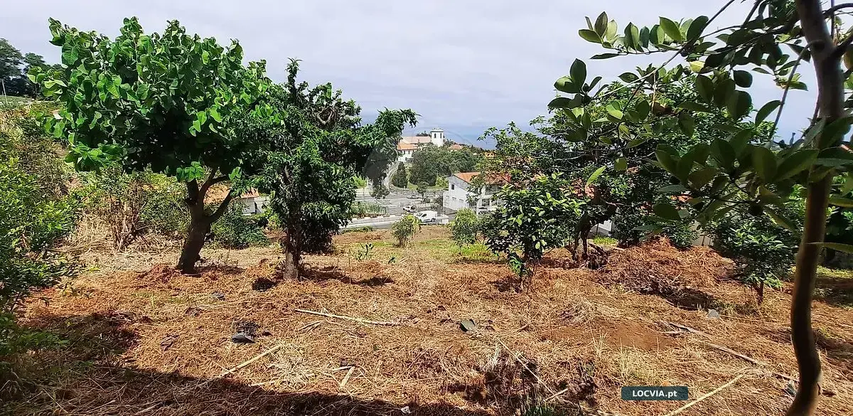 Moradia T3 à venda em São Jorge, Santana
