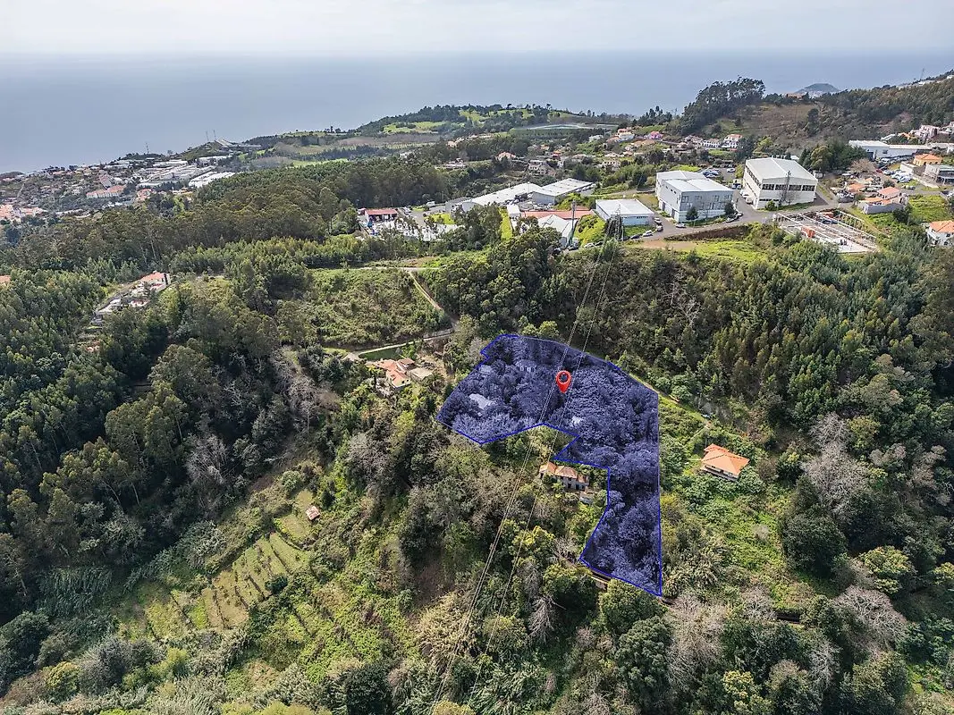 Moradia T6 à venda em Camacha, Santa Cruz