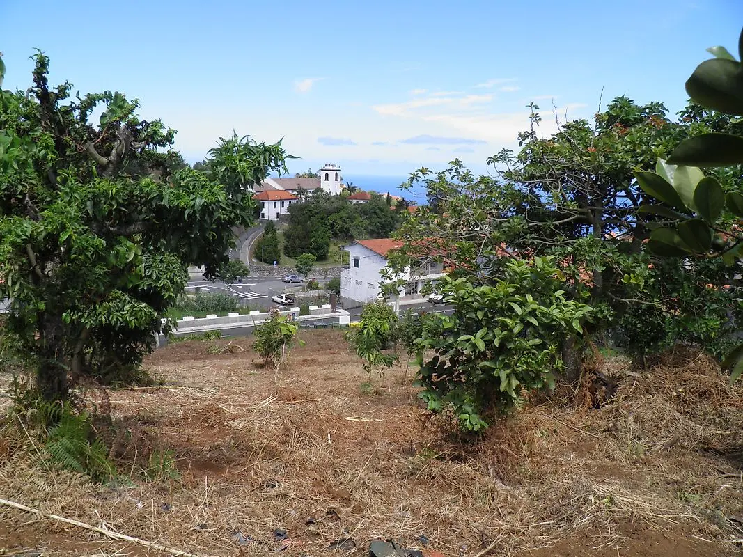 Moradia T3 à venda em São Jorge, Santana