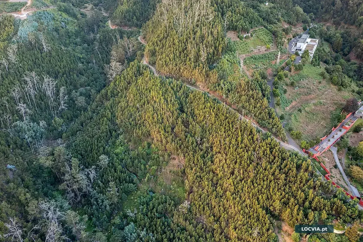 Terreno à venda em São Roque, Funchal