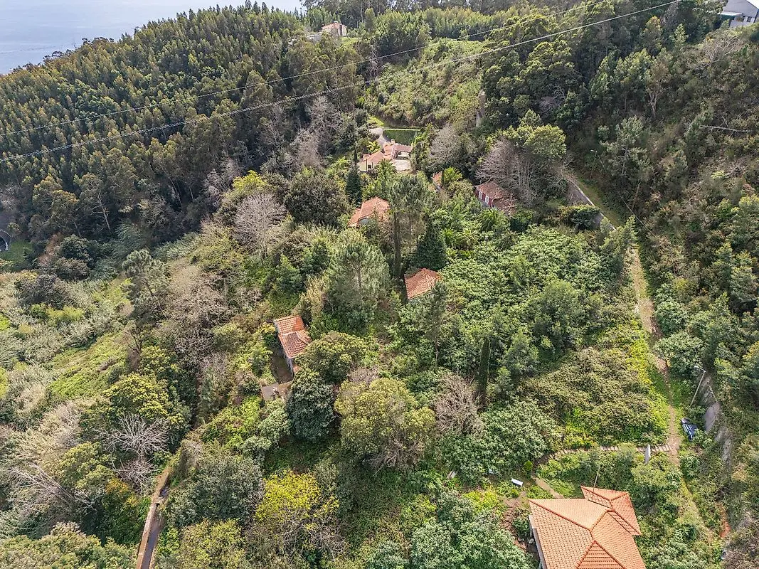 Moradia T6 à venda em Camacha, Santa Cruz