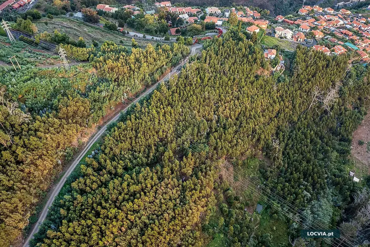 Terreno à venda em São Roque, Funchal