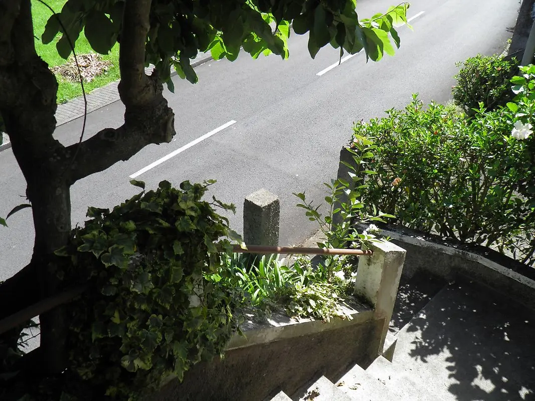 Moradia T3 à venda em São Jorge, Santana