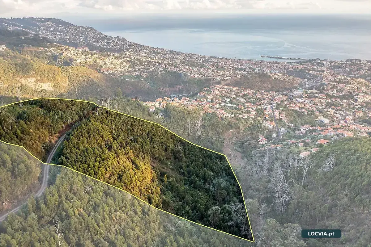 Terreno à venda em São Roque, Funchal