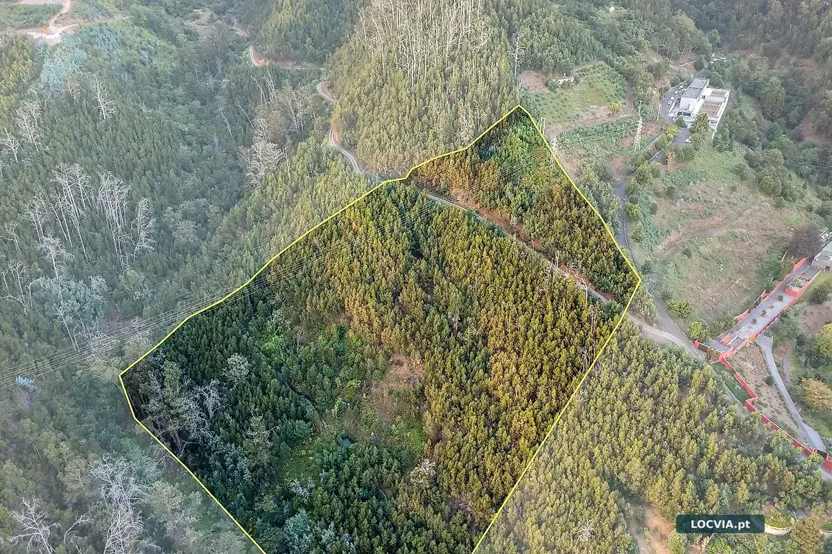 Terreno à venda em São Roque, Funchal