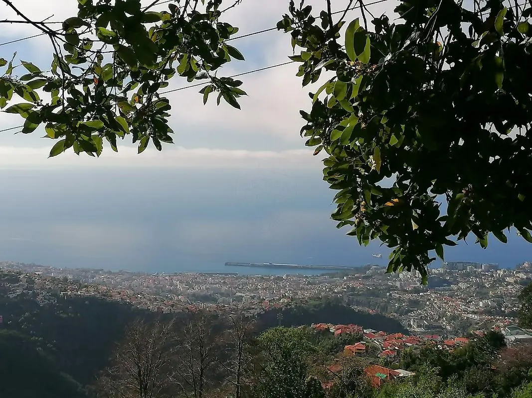 Terreno à venda em São Roque, Funchal