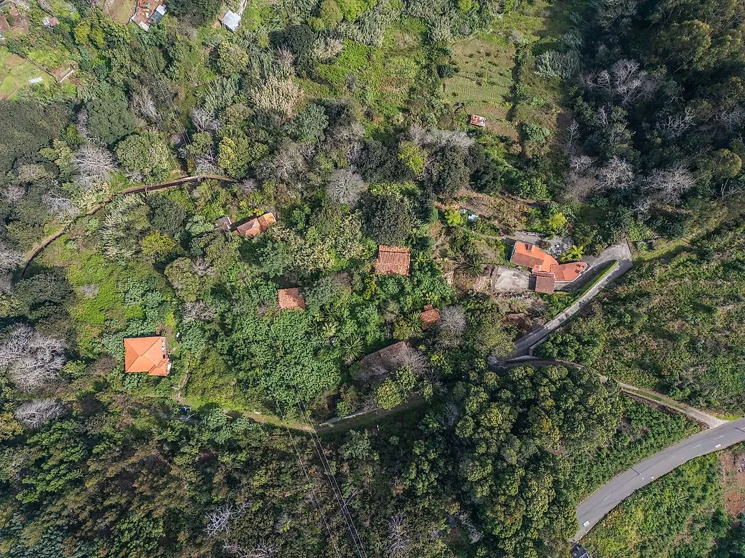 Moradia T6 à venda em Camacha, Santa Cruz