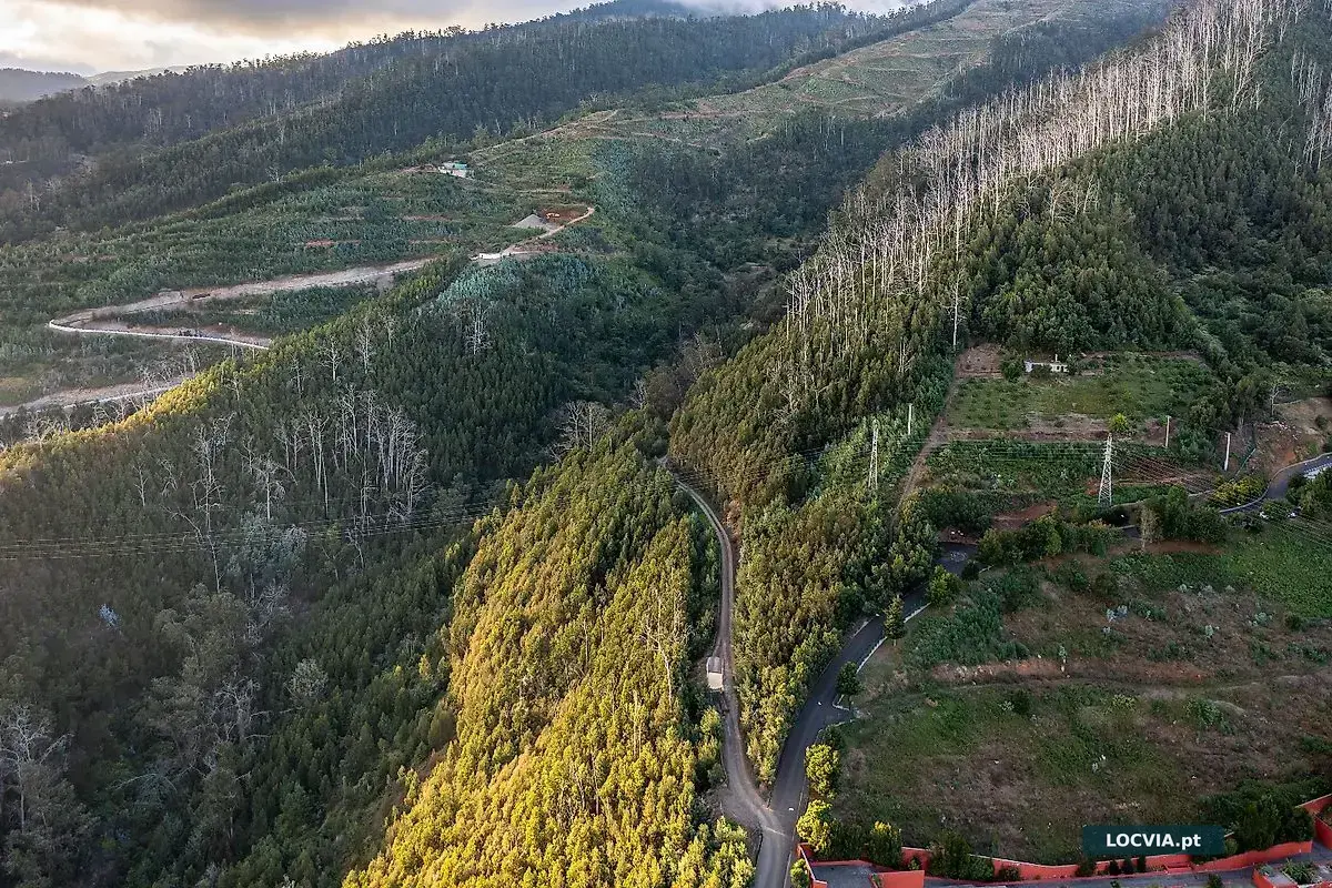 Terreno à venda em São Roque, Funchal