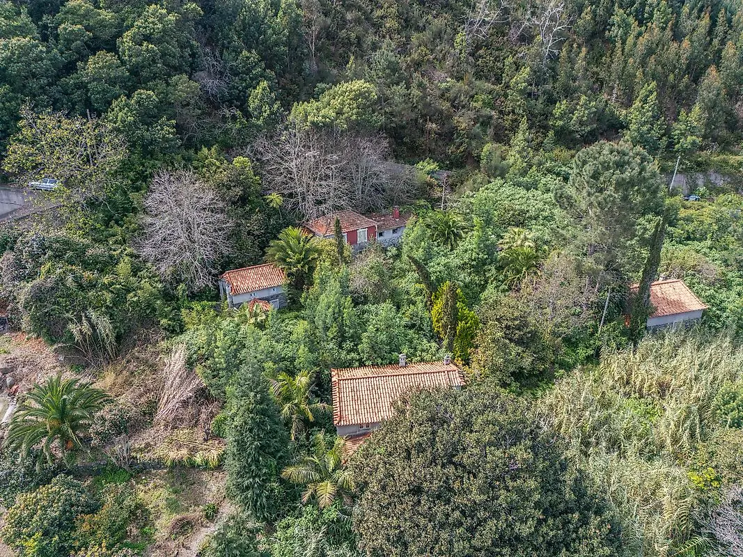 Moradia T6 à venda em Camacha, Santa Cruz